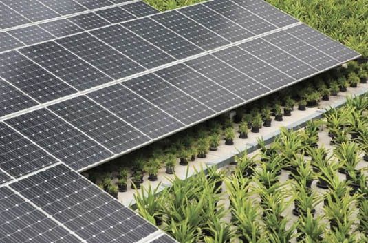 4 ứng dụng phổ biến nhất của điện năng lượng mặt trời trong cuộc sống hiện nay