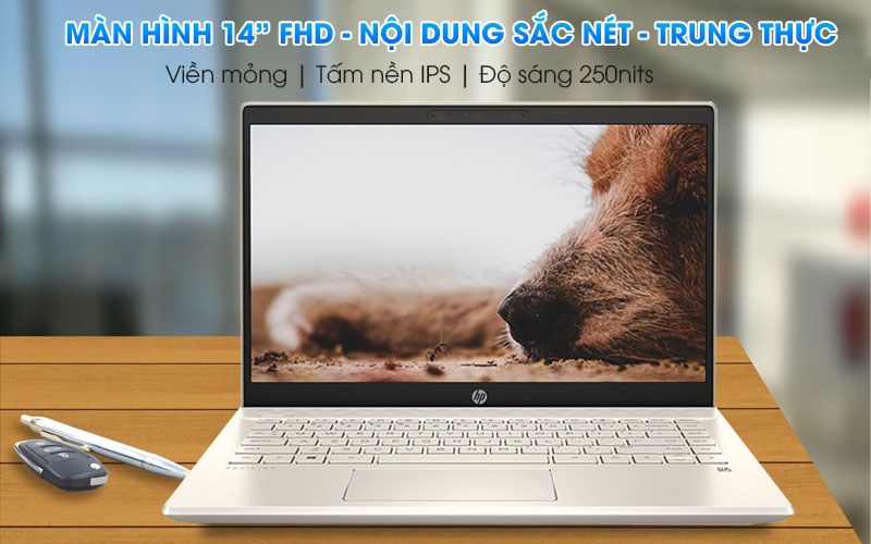 Laptop HP Pavilion 14-dv0534TU (4P5G3PA)