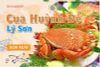 Cua huỳnh đế - Loại hải sản bạn không nên bỏ lỡ khi đến Lý Sơn