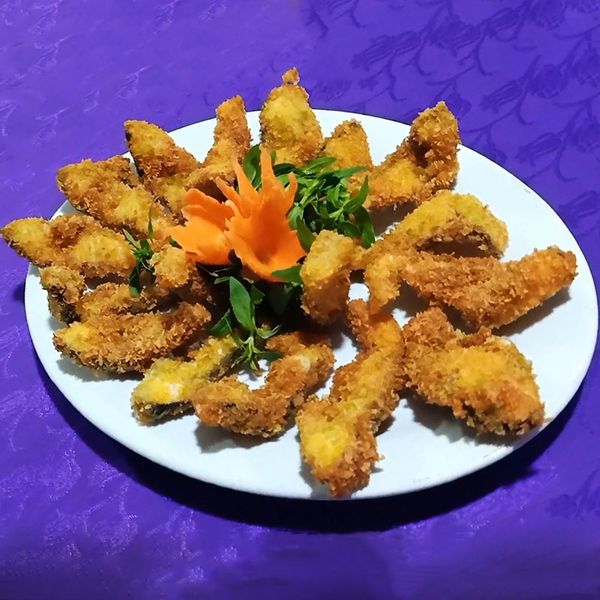 cá tầm chiên xù