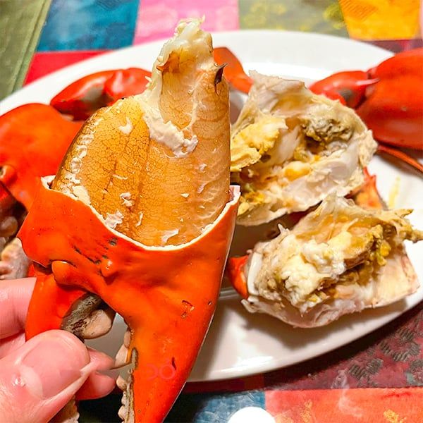 các loại hải sản ngon