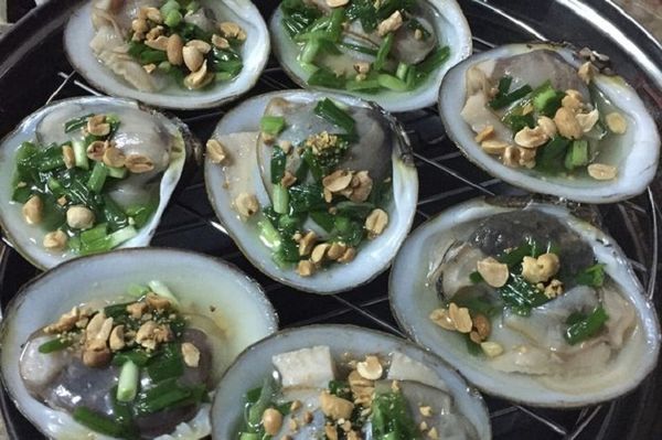 con ngán quảng ninh