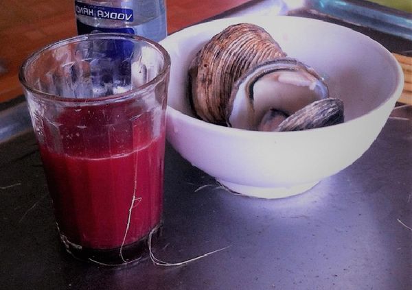 con ngán quảng ninh