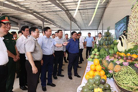 Thủ tướng Chính phủ Phạm Minh Chính thăm Trung tâm chế biến rau quả Doveco Sơn La