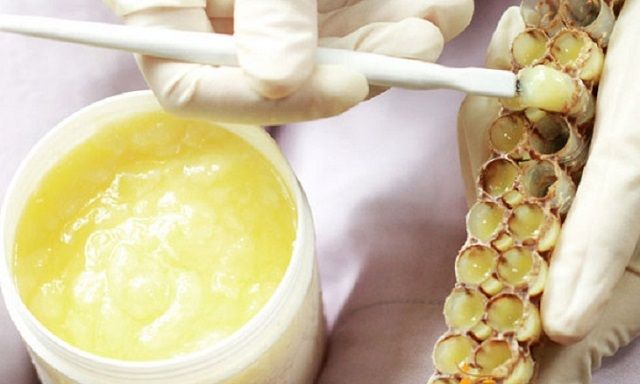 ONG CHÚA TIẾT SỮA NHƯ THẾ NÀO?
