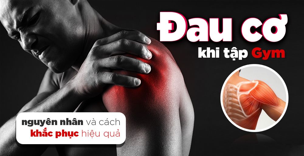 Đau cơ khi tập Gym có nên tập tiếp | Làm sao để hết đau cơ sau khi tập Gym?