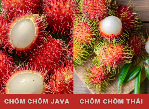 How To Distinguish Between Thai Rambutan And Normal Rambutan