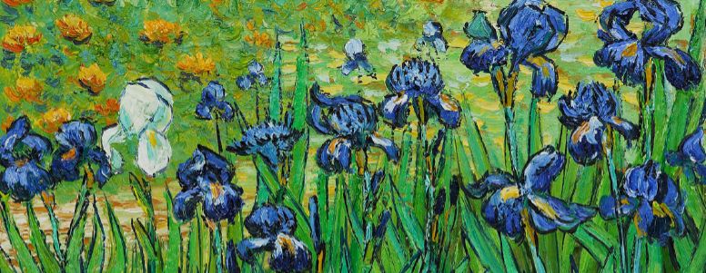 Tác Phẩm Hoa Diên Vĩ của Vincent Van Gogh - sự đắt giá của cảm xúc