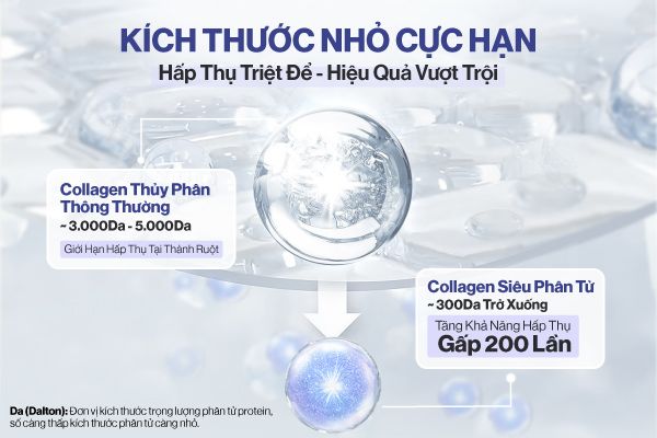 gilaa-chinh-thuc-ra-mat-collagen-sieu-phan-tu-300da
