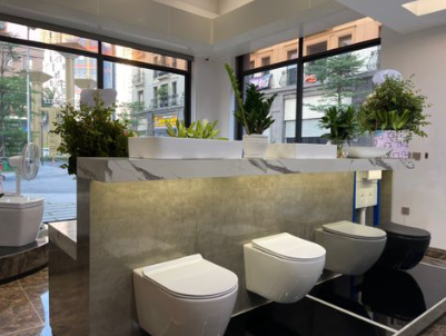 Transparent toilet with anti-peeping feature in Japan