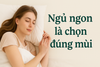 🌙 Ngủ Sâu Hơn Không Cần Thuốc – Chỉ Với 3 Mùi Hương Đơn Giản Mỗi Tối