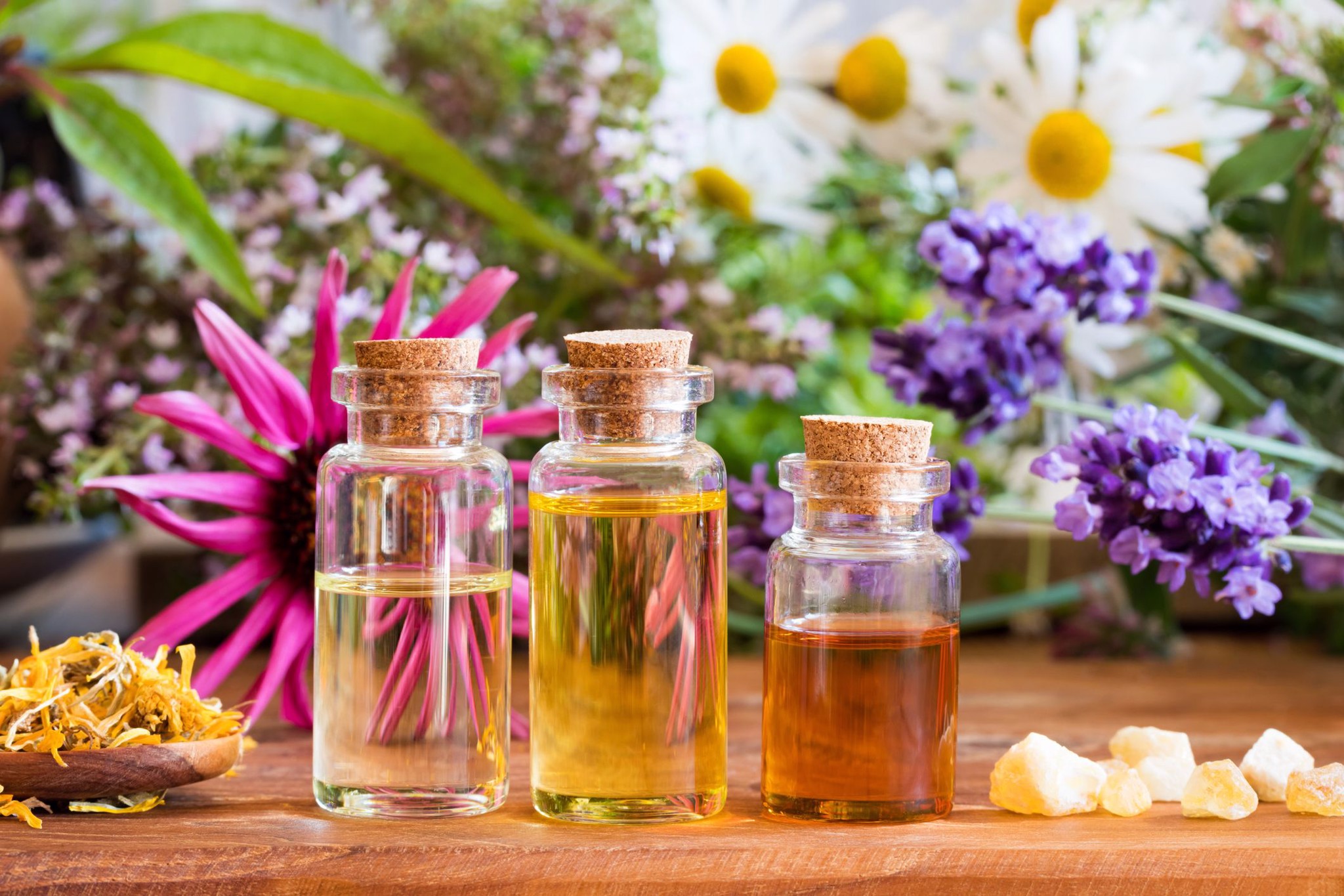 Aromatherapy là gì? Aromatherapy Liệu pháp hương thơm đã có từ bao lâu? Điều trị bằng tinh dầu thơm hoạt động như thế nào?