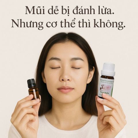 Hương Thơm Và Cảm Xúc: Tại Sao Mùi Hương Thiên Nhiên Quan Trọng Đến Tâm Trạng Của Bạn?