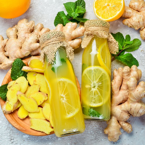 Kombucha mix trái cây nào ngon nhất Trà thủy sâm Komboo