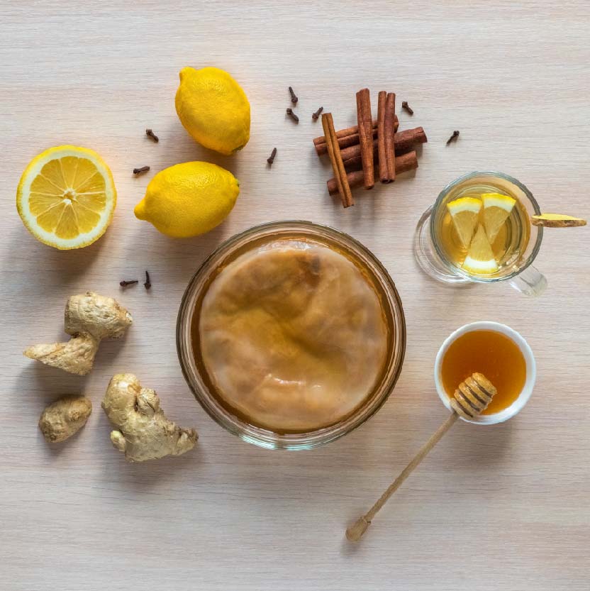 Jun Kombucha là gì? Cách làm Jun Kombucha tại nhà đơn giản Trà thủy