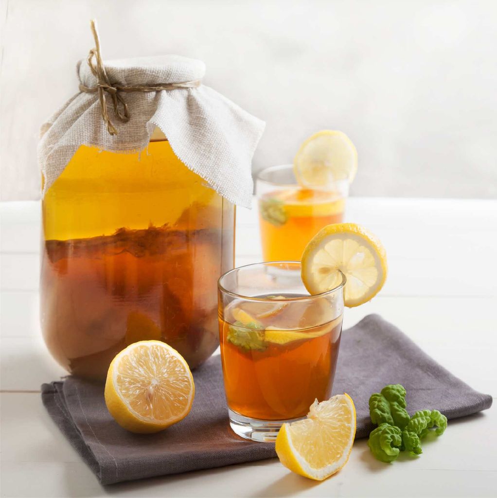 Cách uống trà thủy sâm Kombucha đúng chuẩn