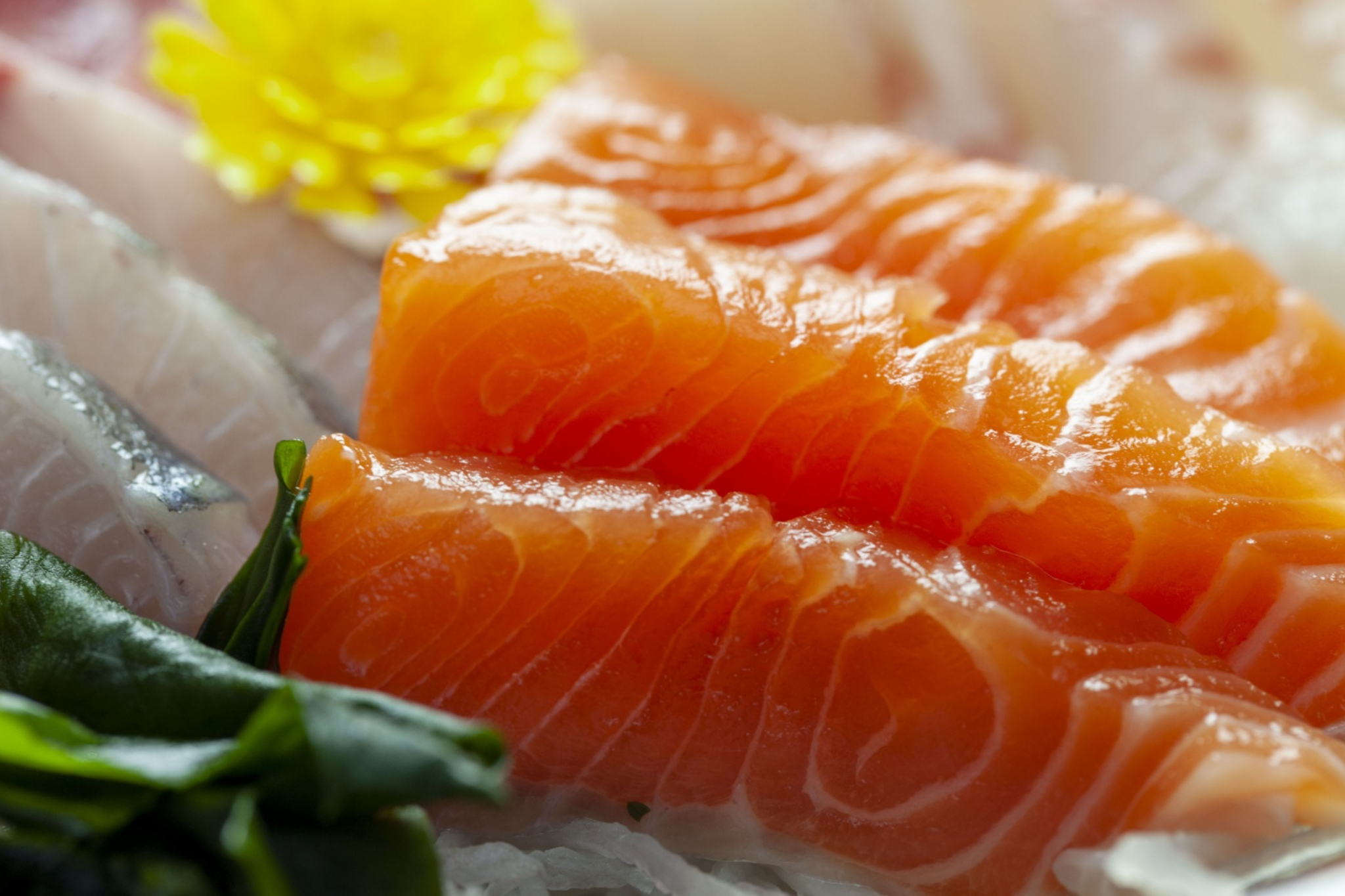 các loại sashimi _ salmon sashimi