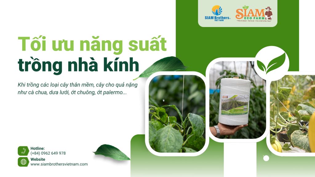 Tối ưu năng suất với dây nhà kính chuyên dụng SIAM Eco Farm