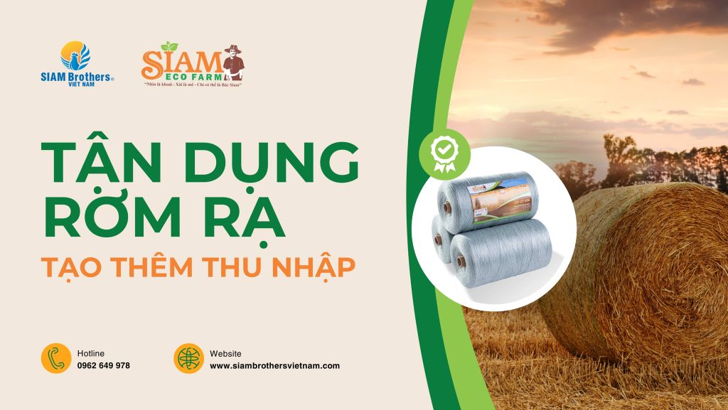 Tạo thêm thu nhập nhờ tận dụng rơm hiệu quả