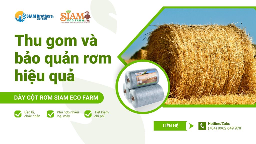 Cách thu gom và bảo quản rơm hiệu quả từ dây cuộn rơm SIAM Eco Farm