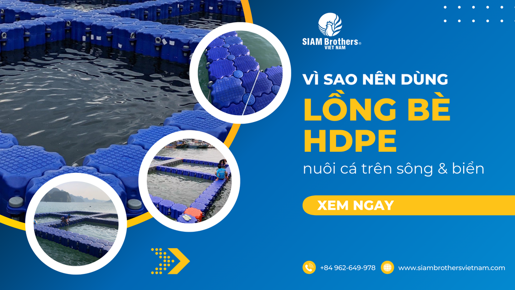 Có nên dùng lồng bè HDPE để nuôi cá trên sông, trên biển?
