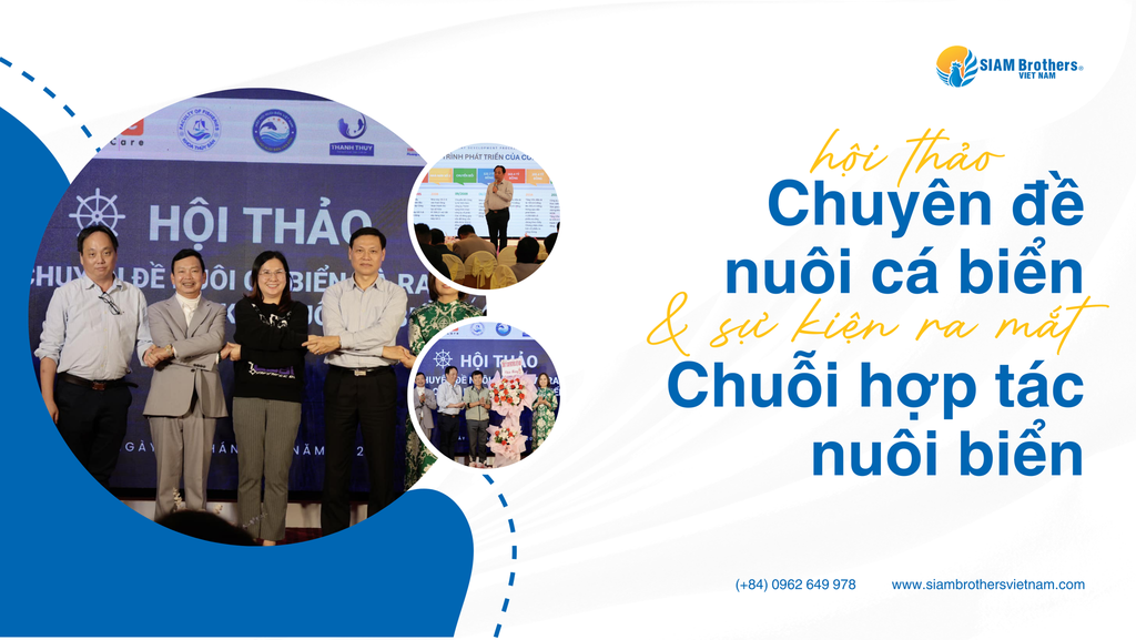 SIAM Brothers Việt Nam trở thành thành viên trong Chuỗi liên kết nuôi cá biển tại Quảng Ninh
