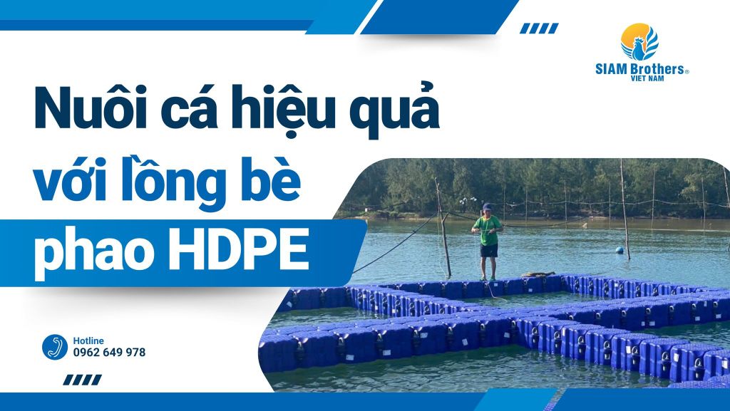 Nuôi cá hiệu quả với phao lồng bè HDPE