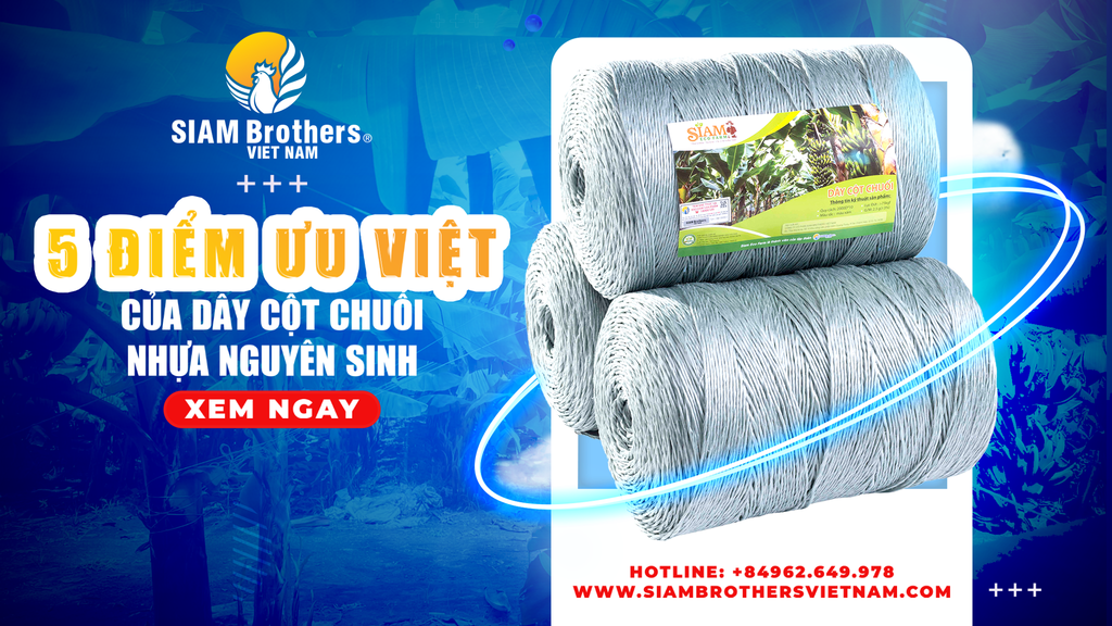 5 điểm ưu việt của dây cột chuối nhựa nguyên sinh SIAM Eco Farm của SIAM Brothers Việt Nam