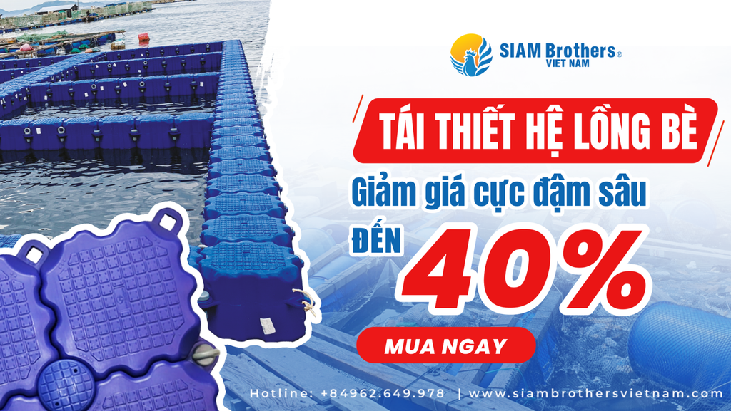 SIAM Brothers Việt Nam ưu đãi lớn lồng nuôi thuỷ sản