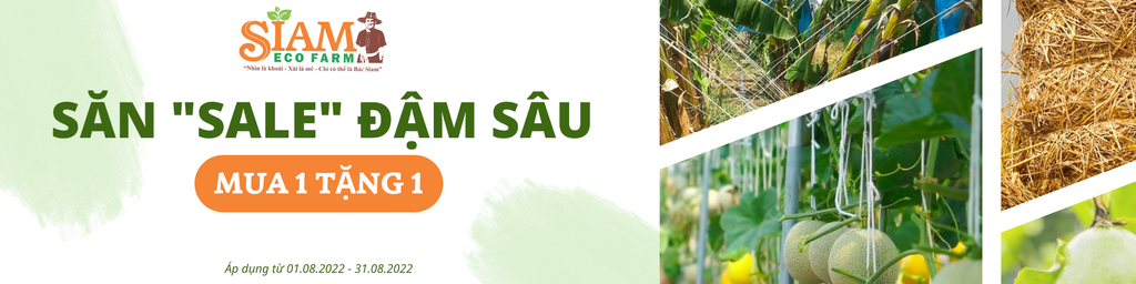 Mua 1 Tặng 1 - Săn Sale Đậm Sâu Toàn Sản Phẩm
