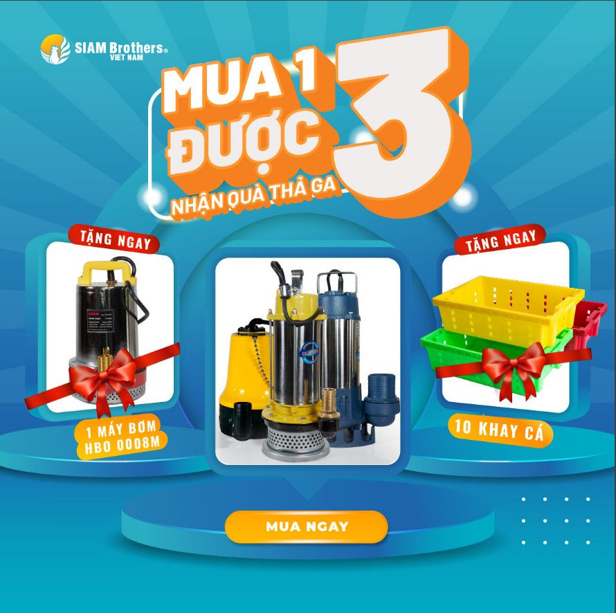 Chương trình khuyến mãi kết hợp