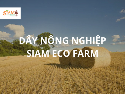 Dây Nông Nghiệp SIAM Eco Farm - Chương Trình Khuyến Mãi 2022
