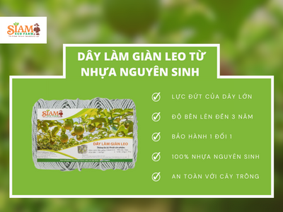 Những Lợi Ích Khi Làm Giàn Bằng Dây Làm Giàn Leo Từ Nhựa Nguyên Sinh