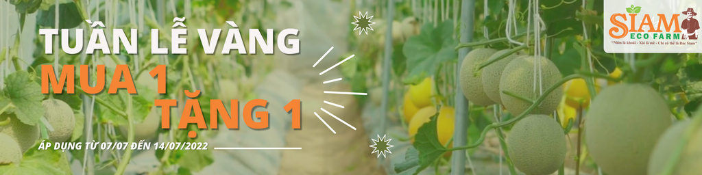 Tuần Lễ Vàng Bội Thu Ưu Đãi - Mua 1 Tặng 1 Áp Dụng Toàn Bộ Sản Phẩm