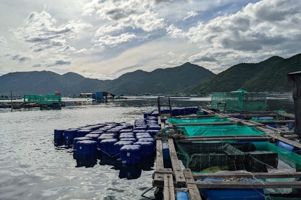 Tình hình sử dụng phao bè tại Việt Nam hiện nay