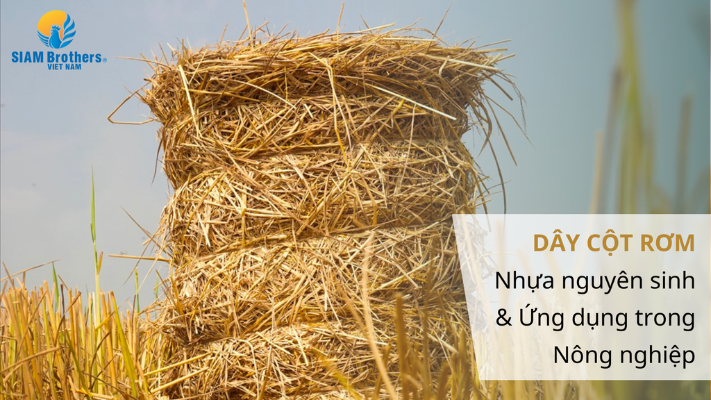 Dây Cột Rơm Nhựa Nguyên Sinh SIAM Eco Farm Có Tốt Không?