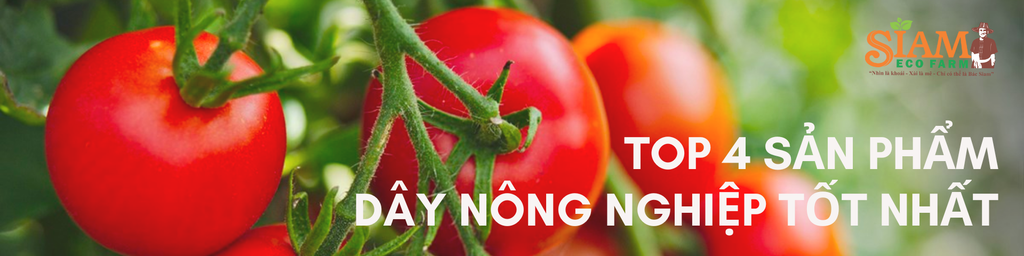 Top 4 Sản Phẩm Dây Nông Nghiệp Tốt Nhất Tại SIAM Brothers Việt Nam
