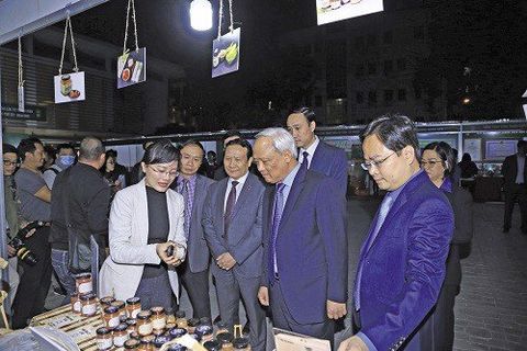 Cô thủ khoa du lịch đi làm… mắm