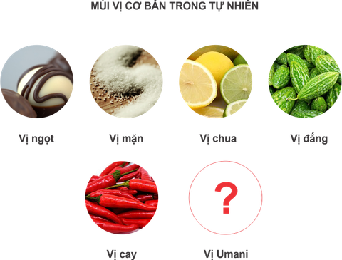 Vị Umami - Vị ngon tinh tuý