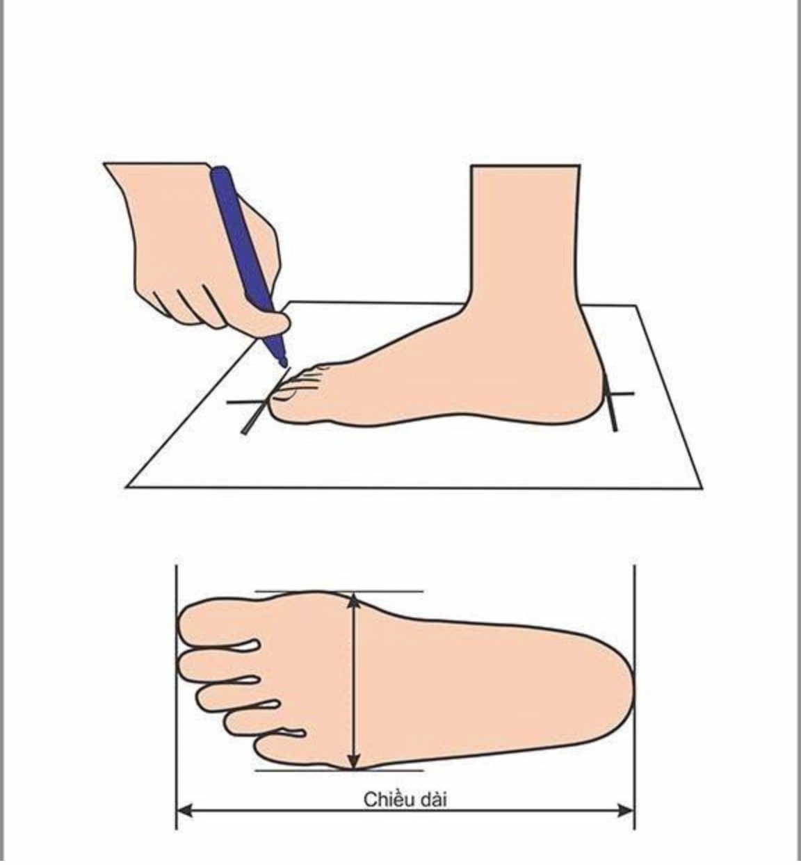 thuong-hieu-puma-va-huong-dan-cach-chon-size-giay-puma-chinh-xac-nhat