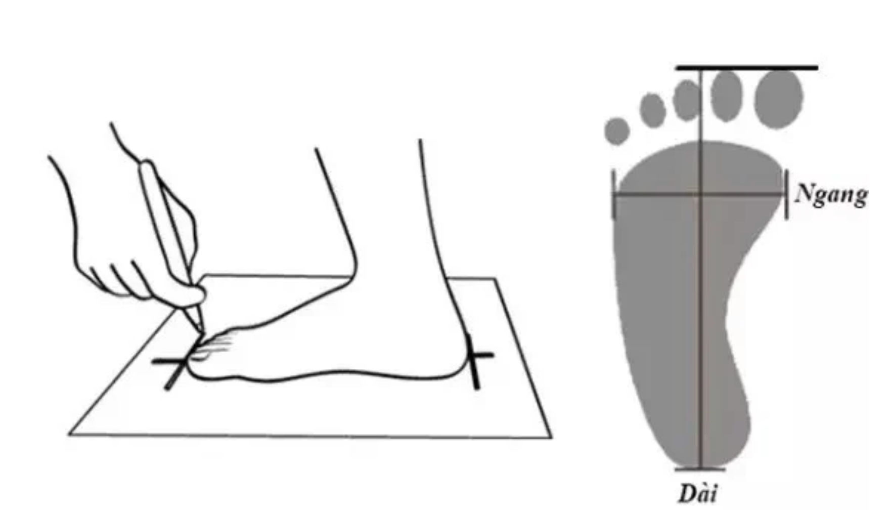 thuong-hieu-asics-va-huong-dan-cach-chon-size-giay-asics-chinh-xac-nhat
