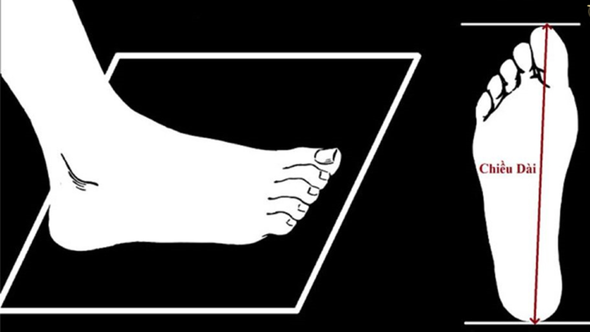 Cách chọn size sneaker Off-White và phối đồ sao cho phù hợp Hinh anh 3: Cach chon size sneaker Off-White va phoi do sao cho phu hop