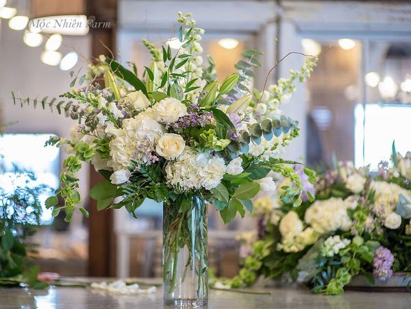 Cẩm tú cầu không chỉ để khoe sắc lộng lẫy trong vườn mà còn tuyệt đẹp khi trưng bày trong nhà, làm hoa cô dâu, trang trí tiệc cưới.