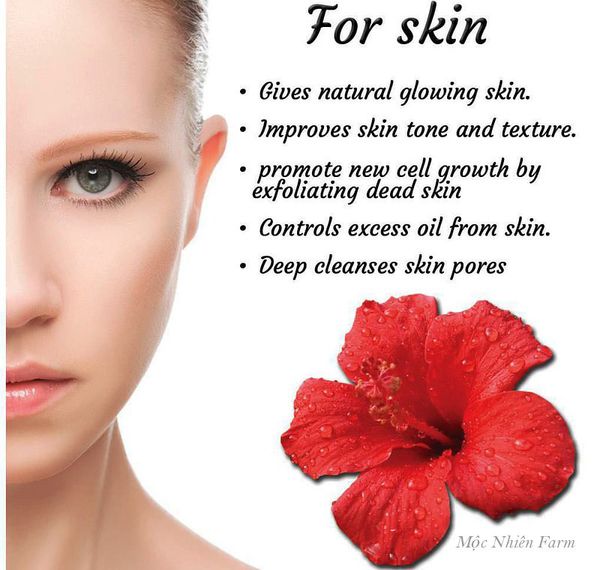 Hoa dâm bụt tốt cho da và được sử dụng cho ngành công nghiệp mỹ phẩm.