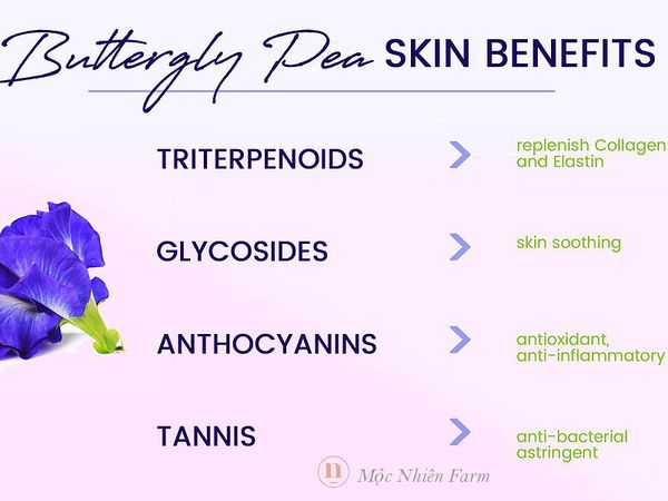 Chứa nhiều hoạt chất tốt cho da: làm dịu, bổ sung collagen và elastin, chống viêm và se khít lỗ chân lông.