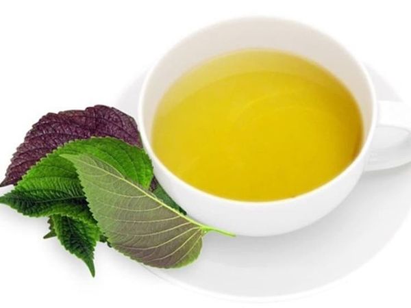 Nước sắc hoặc trà từ lá húng chanh có nhiều tác dụng thần kỳ cho sức khỏe.