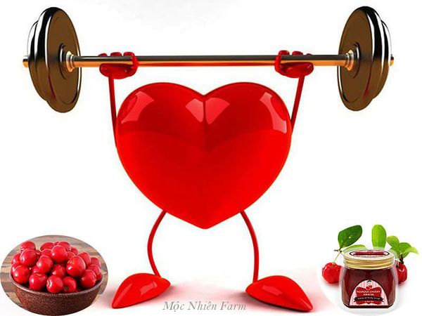Ăn sơ ri hàng ngày giúp cải thiện sức khỏe tim mạch.