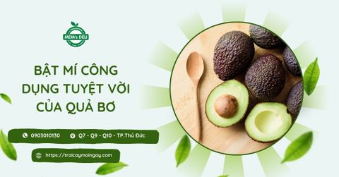 Ăn bơ có béo không? Các công dụng tuyệt vời mà quả bơ đem lại