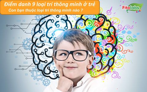 Điểm danh 9 loại trí thông minh ở trẻ - Con bạn thuộc loại trí thông minh nào? | Fitolabs