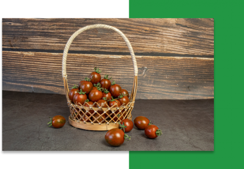 Cà chua Cherry có lợi ích gì cho sức khoẻ? Tất cả những gì bạn cần biết